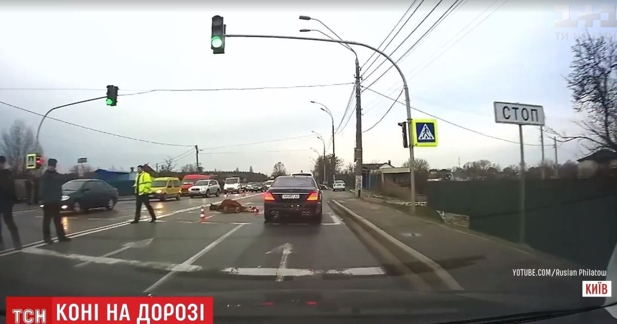 У Києві трапилася жахлива ДТП із кіньми