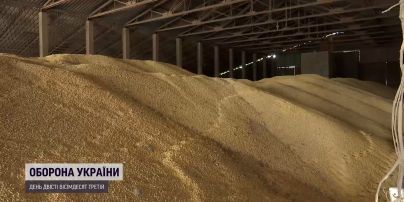 Россияне украли зерна на колоссальную сумму: эксперты назвали цену убытков Украины
