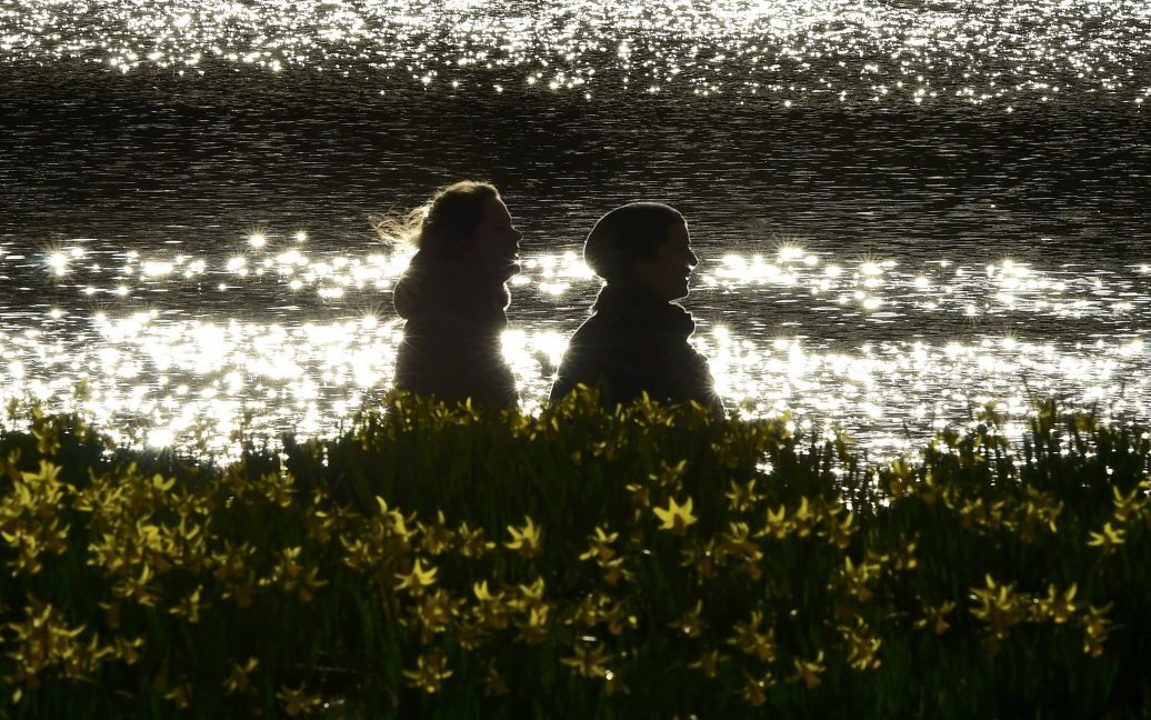 Пара ходить повз нарциси, які рано розквітли, в парку Сент-Джеймс в Лондоні, Великобританія. / © Reuters