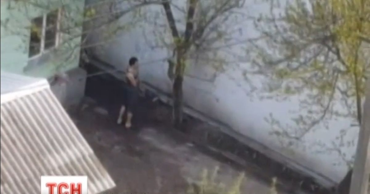 В соцсетях уже несколько дней обсуждают видео, на котором мужчина бьет кошку шлангом