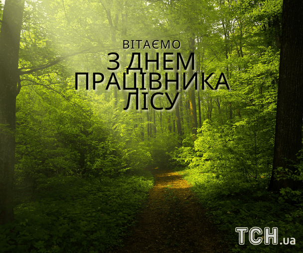 Листівки з Днем працівника лісу / © ТСН