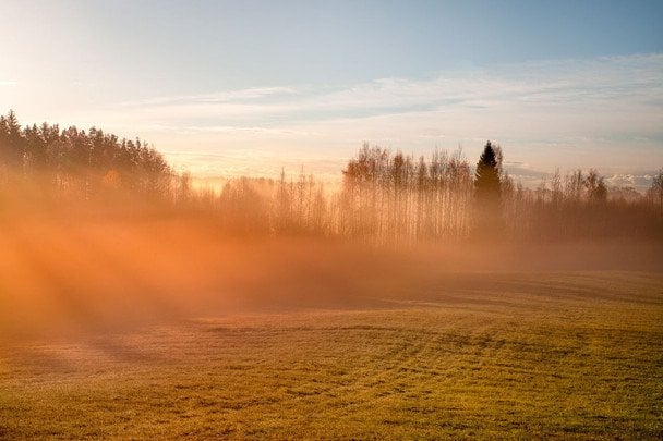 Народні прикмети 10 вересня / © pexels.com