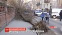 На Львівщині штормовий вітер валить дерева і зриває дахи