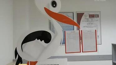 Украинцы стали больше вступать в брак, а детей рожают меньше