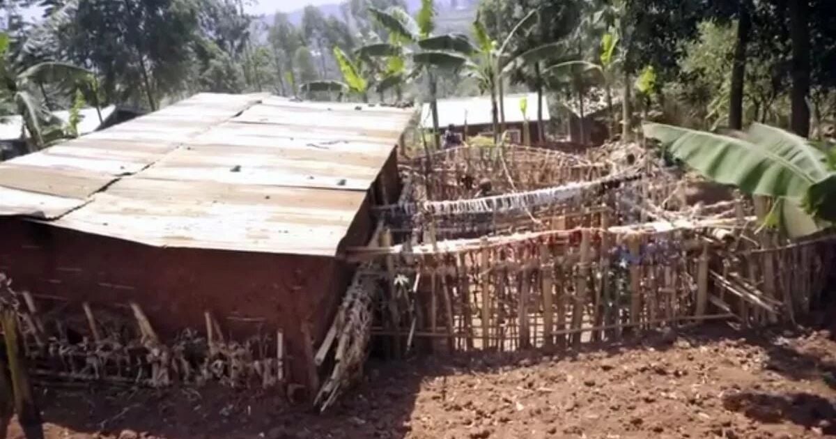 Дом Нзавита