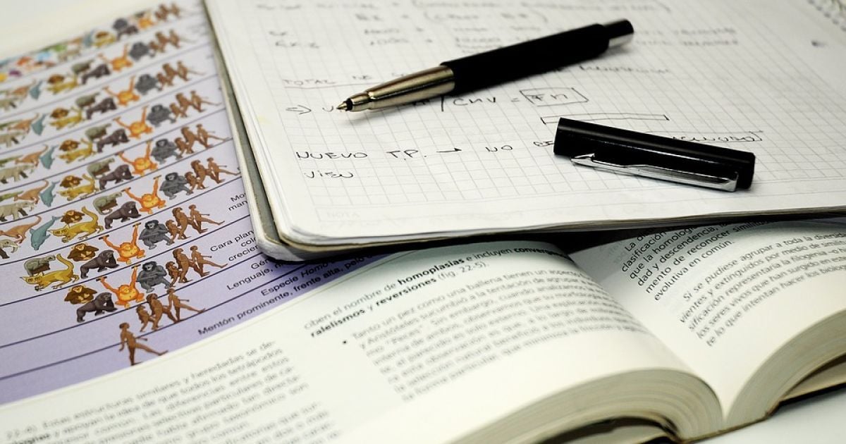 Понад 5 тисяч зареєстрованих абітурієнтів не прийшли на ЗНО з біології: перші деталі тестування