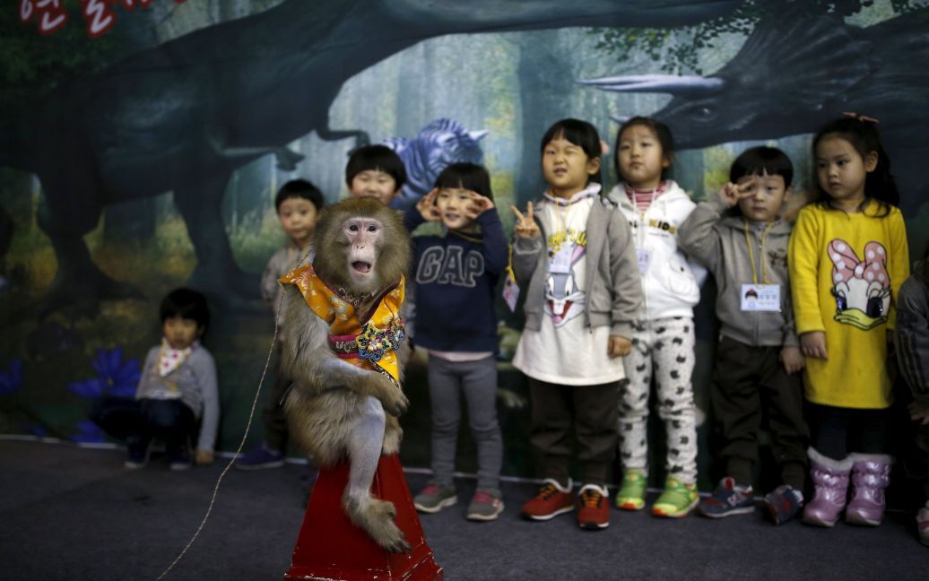 Воспитанники детского сада позируют для фото с обезьяной в корейском традиционном костюме после концерта в честь Китайского Нового года в местной школе в городе Коян, Южная Корея. / © Reuters