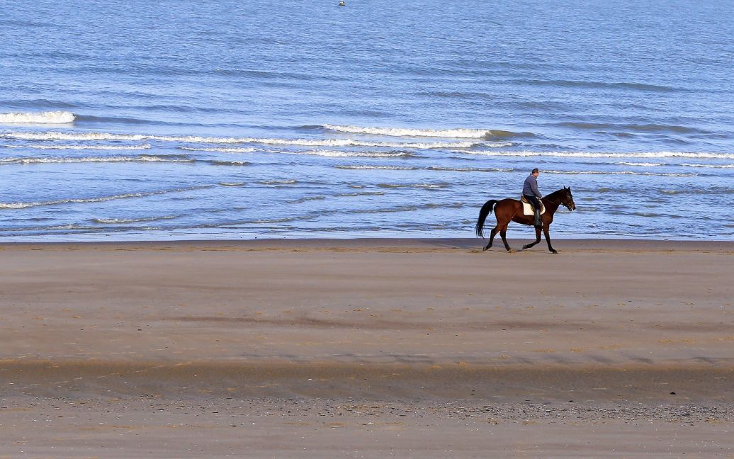 Мужчина с лошадью идут на пляже Северного моря недалеко от села Де Хаан, Бельгия. / © Reuters