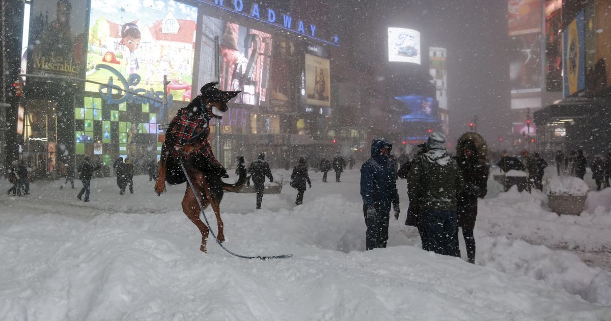 Люди играли в снегу на Таймс-Сквер / © Reuters
