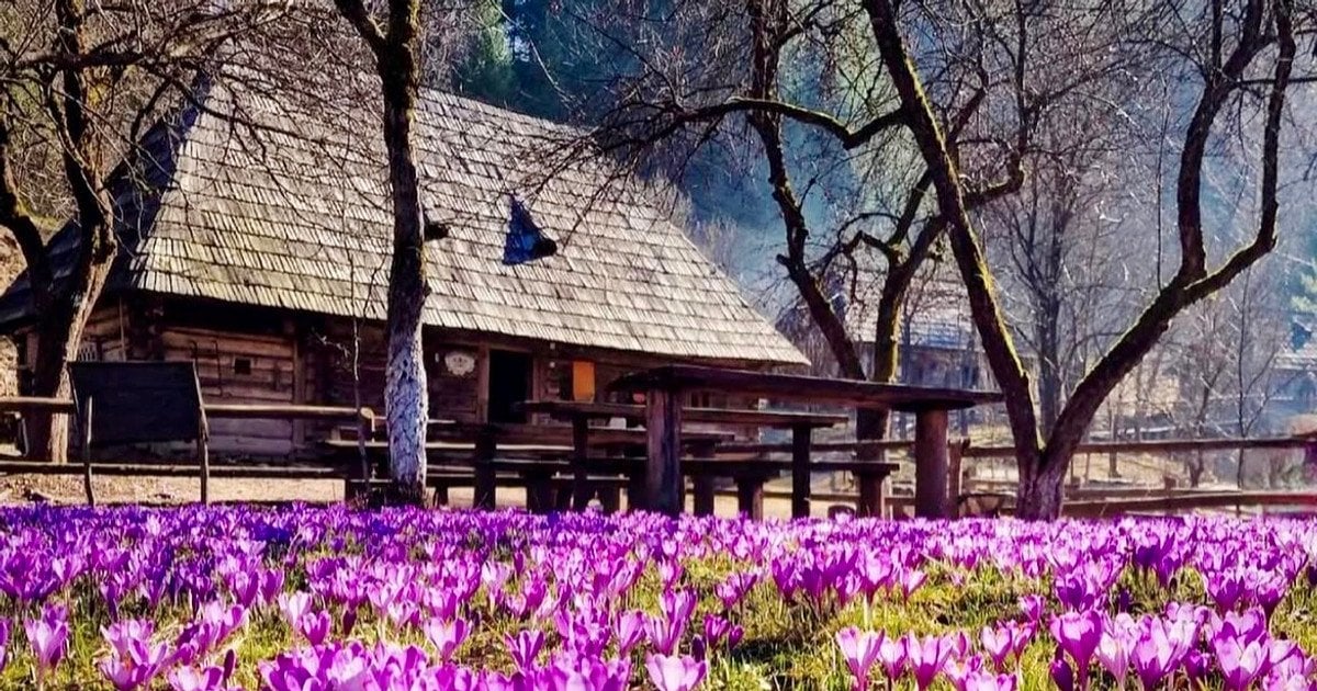 Музей «Старе село» у Колочаві instagram.com_travel_to_ukraine_