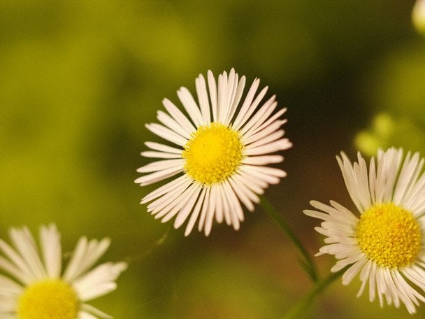 Народные приметы 17 июля / © unsplash.com