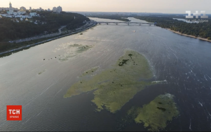 Цветение реки Днепр: чем опасно для украинцев и как повлиять