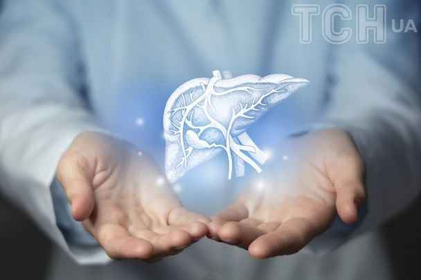 В якому органі накопичується найбільше жиру та чим це загрожує: приголомшливі факти