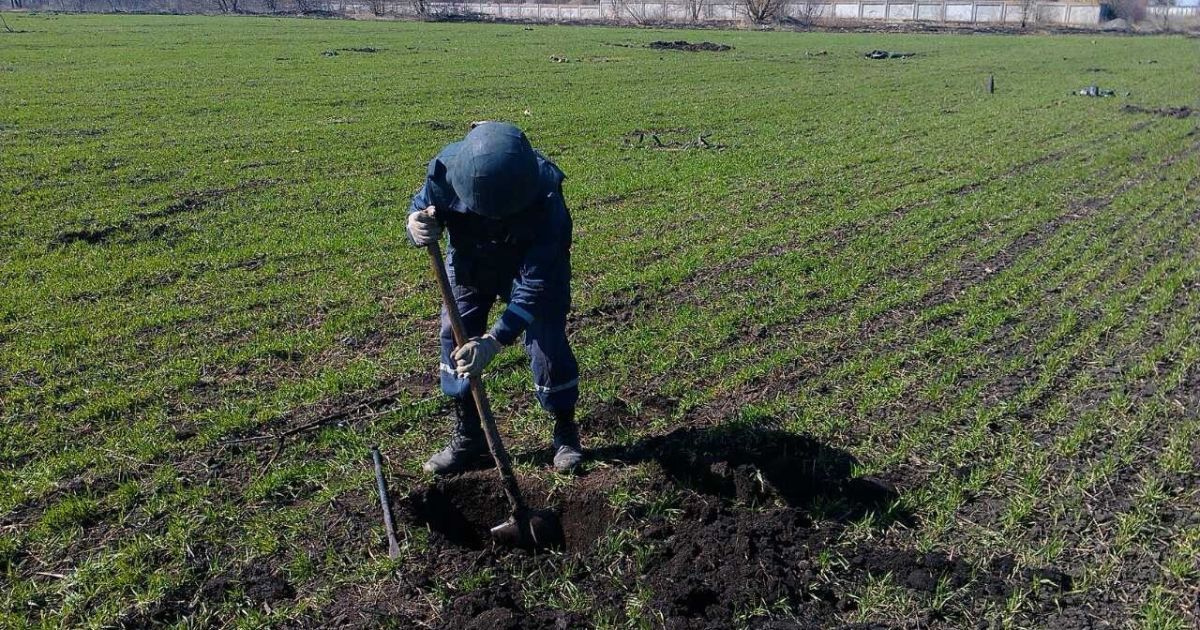У Балаклії вилучили понад 3 тисячі вибухонебезпечних предметів _5 / © ДСНС
