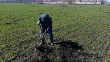 У Балаклії вилучили понад 3 тисячі вибухонебезпечних предметів _5 / © ДСНС