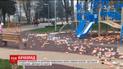У Вінниці невідомі розкидали у парку близько тисячі гумових каченят