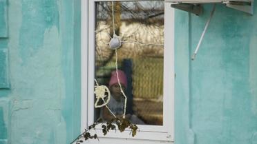 Маленькая местная жительница выглядывает на улицу из потрескавшегося окна. / © Reuters