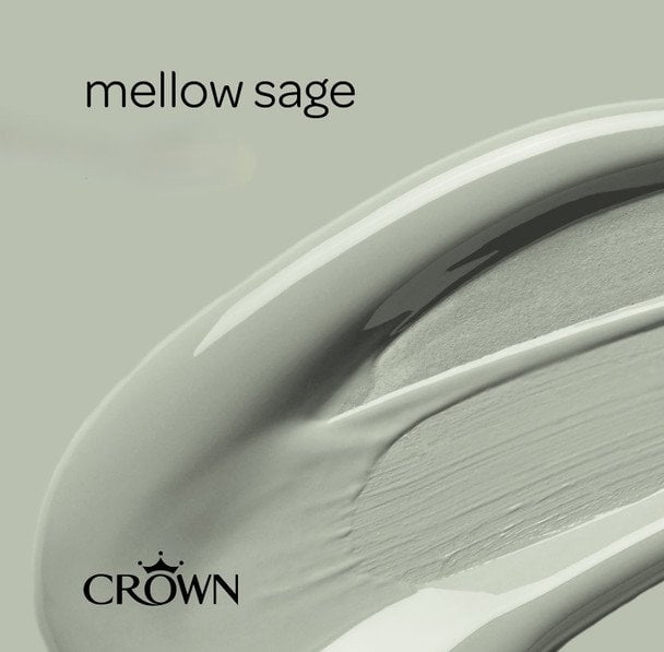 mellow sage// фото: buypaintsonline.co.uk