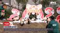 Новости мира: в Китае два десятка маленьких панденят осуществило публичный дебют