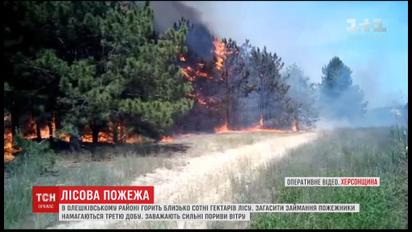 В Олешковском районе горит больше сотни гектаров лесов