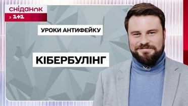 Что такое кибербуллинг и как действовать, если вы стали жертвой – Уроки антифейка с Егором Гордеевым