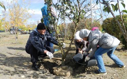 В Украине Toyota провела эко-акцию "Купил машину? Посади дерево!"