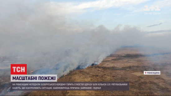У Рівненській області біля кількох сіл горить сухостій: чи є загроза для мешканців