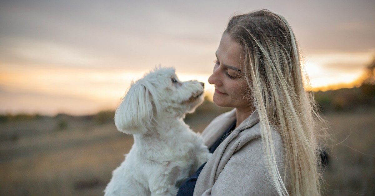 Як очистити одяг від шерсті тварин