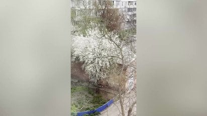 Справжня зима посеред весни: Київщину засипає снігом