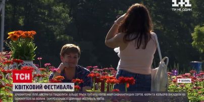 Новини України: на Волині просто посеред поля влаштували квітковий фестиваль