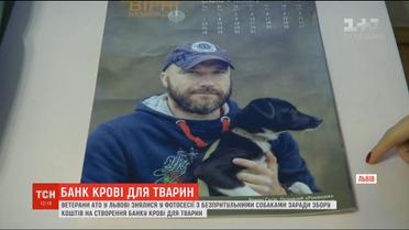У Львові створили фотовиставку рамках збору коштів для банку крові тварин у західній Україні
