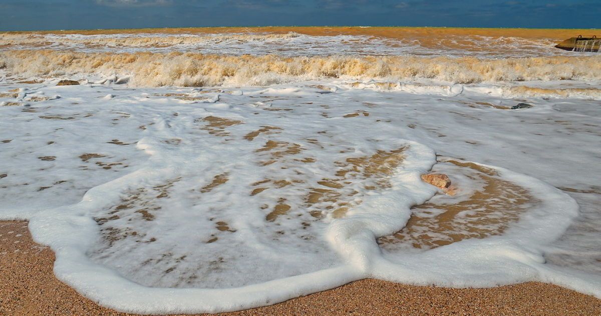 жовте Чорне море_7 / © Юрій Югансон