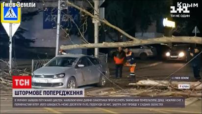 Непогода в Украине: из-за сильного ветра почти 200 населенных пунктов в 8 областях остались без света