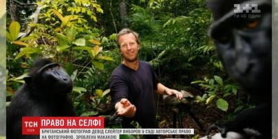 Фотограф довів своє право на фото, зроблене твариною