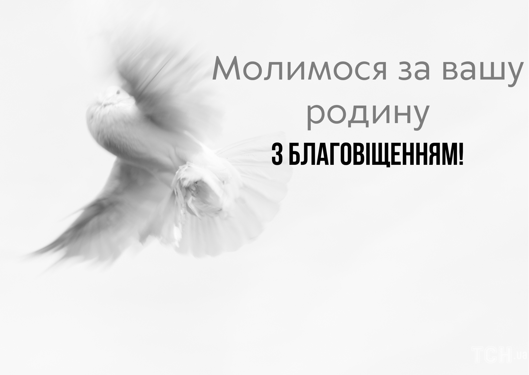 С Благовещением: поздравления и картинки к этому великому празднику — Разное