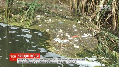 У притоку Дніпра потрапили викиди колекторів Київводоканалу