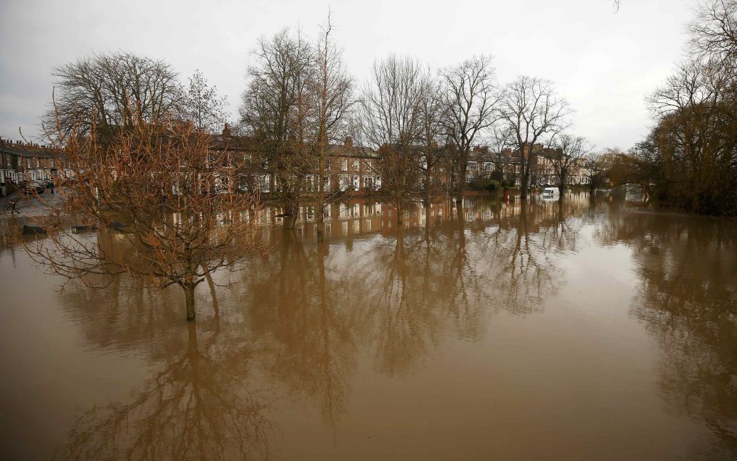 Дерева відображаються в паводкових водах у місті Йорк після того, як річка Уз вийшла з берегів. / © Reuters