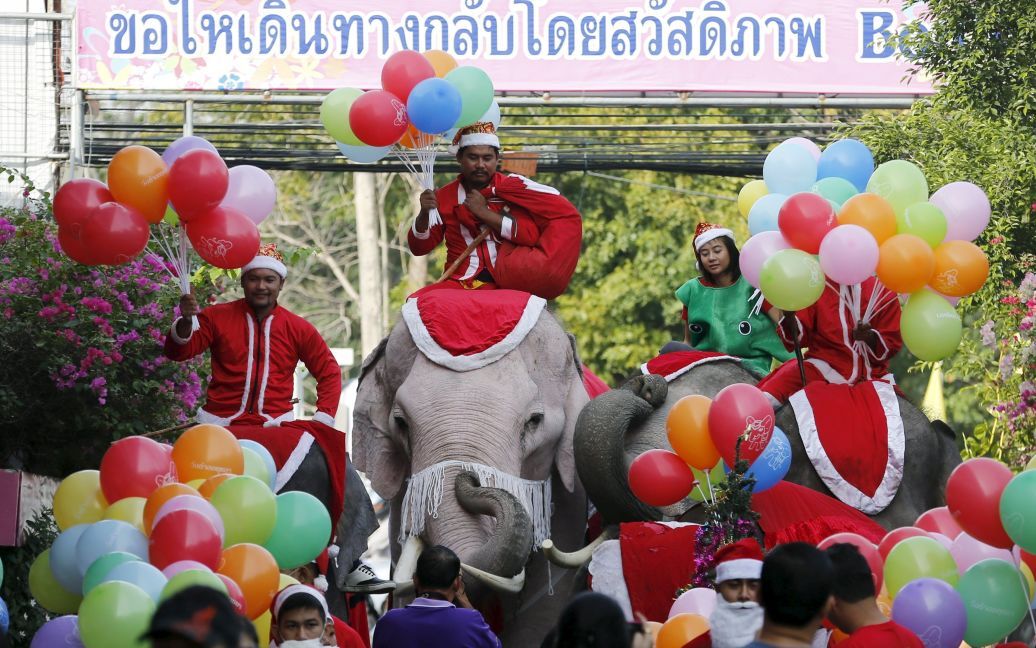Парад слонів на передріздвяному фестивалі в початковій школі в Аюттхая (Таїланд) / © Reuters