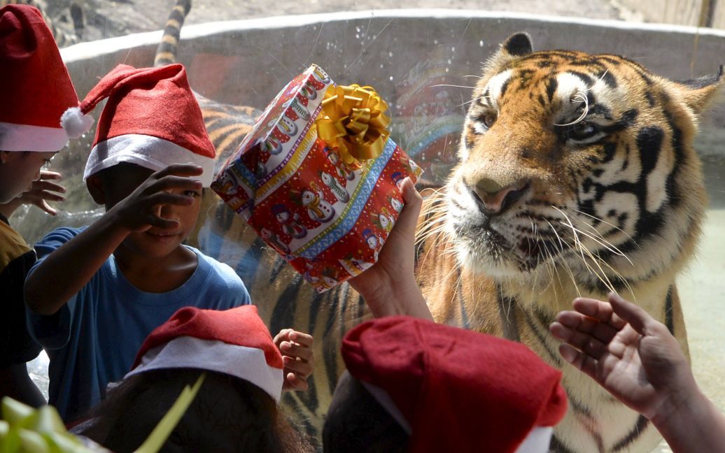 Хлопчик-сирота отримує подарунок під час різдвяної вечірки у зоопарку Малабон / © Reuters