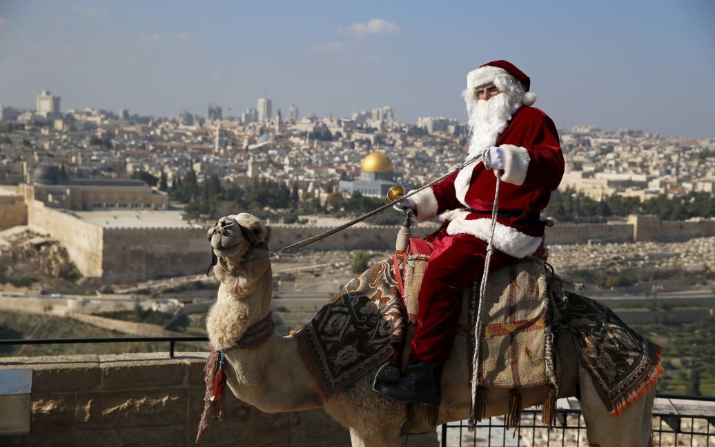 Арабо-ізраїльський Санта-Клауса їде на верблюді на Оливкову гору в Єрусалимі / © Reuters