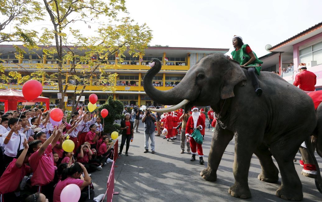 Парад слонів на передріздвяному фестивалі в початковій школі в Аюттхая (Таїланд) / © Reuters
