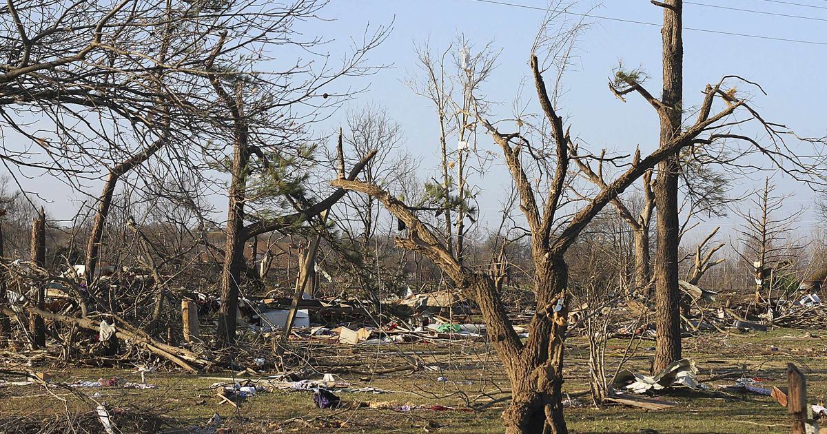В Індіані і Арканзасі штормовий вітер видирав дерева з корінням, зносив дахи будинків і руйнував стовпи ліній електропередачі / © Reuters