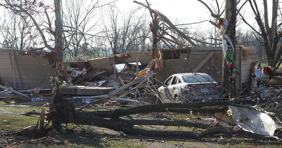 В Індіані і Арканзасі штормовий вітер видирав дерева з корінням, зносив дахи будинків і руйнував стовпи ліній електропередачі / © Reuters