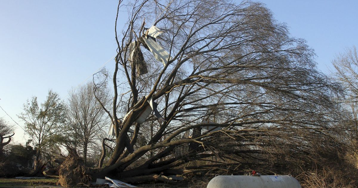 В Індіані і Арканзасі штормовий вітер видирав дерева з корінням, зносив дахи будинків і руйнував стовпи ліній електропередачі / © Reuters