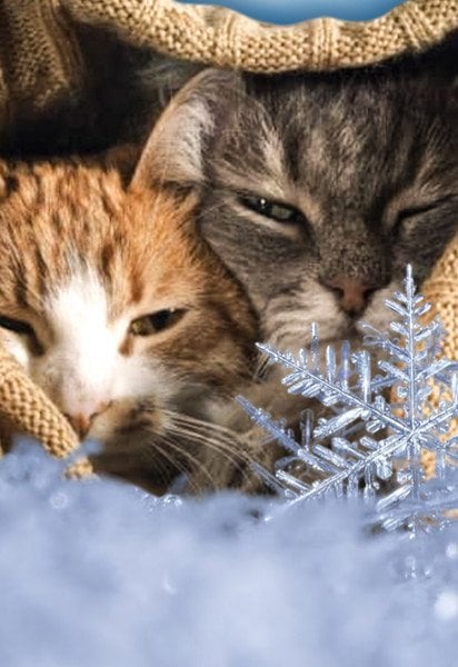 Погода в Украине