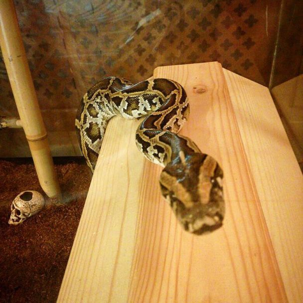 © instagram.com/magua_flores_tina_cordoba