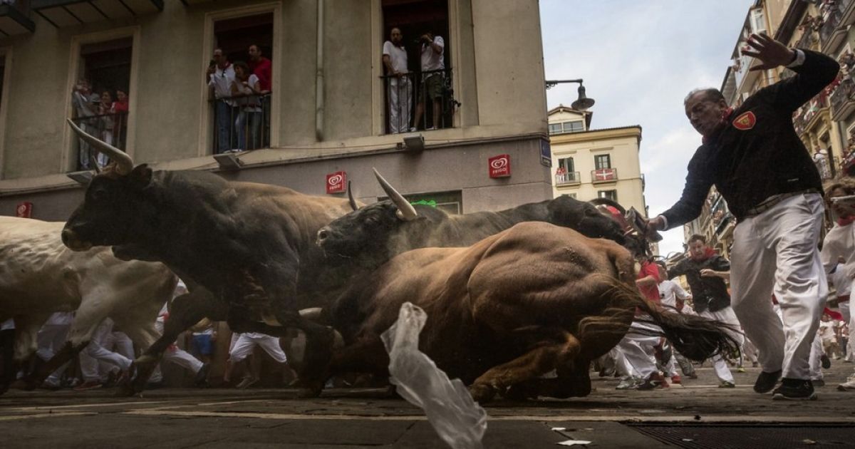 Победитель в номинации General News. Забег быков по улицам испанского города Памплона. Фото Даниэля Очоа де Ольса (Associated Press)