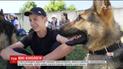 В Сумах проходит открытый чемпионат юных кинологов