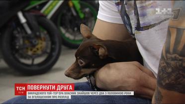 У столиці знайшли вкраденого два з половиною тому роки той-тер'єра