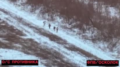 Український FPV-дрон уразив групу ворожої піхоти